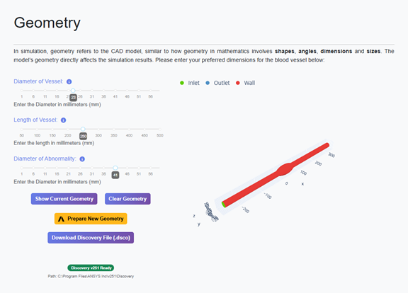 Geometry setup interface where students can enter vessel diameter, length and diameter of abnormality.
