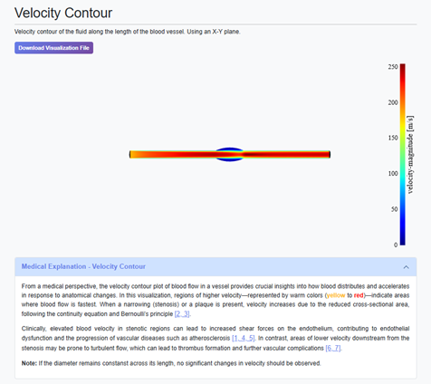 Results – Interactive Graphics in the Straight Vessel Model within the Cardiovascular Domain