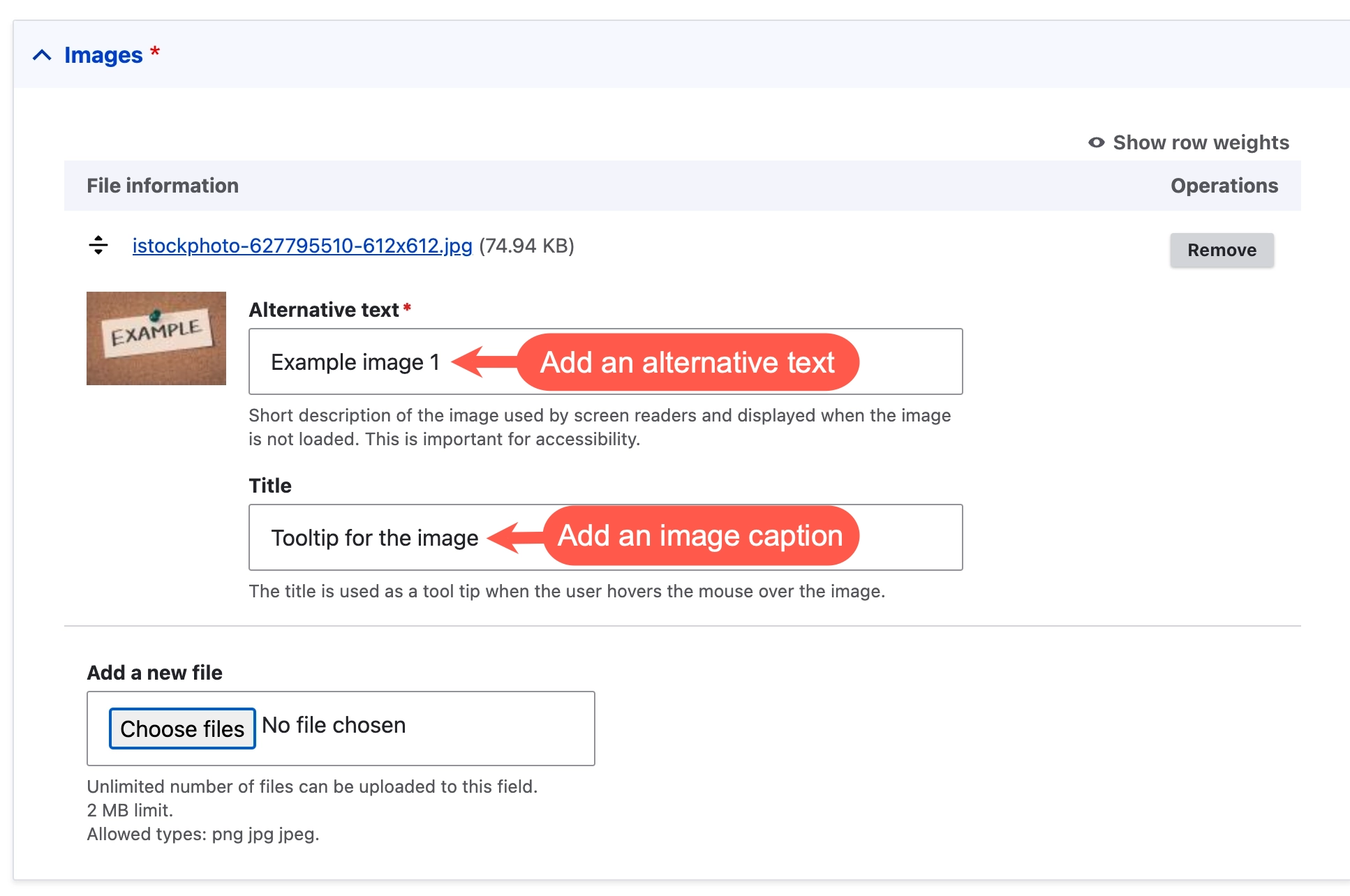 A screenshot of the edit form of an Ansys app page with a title and alternative text field