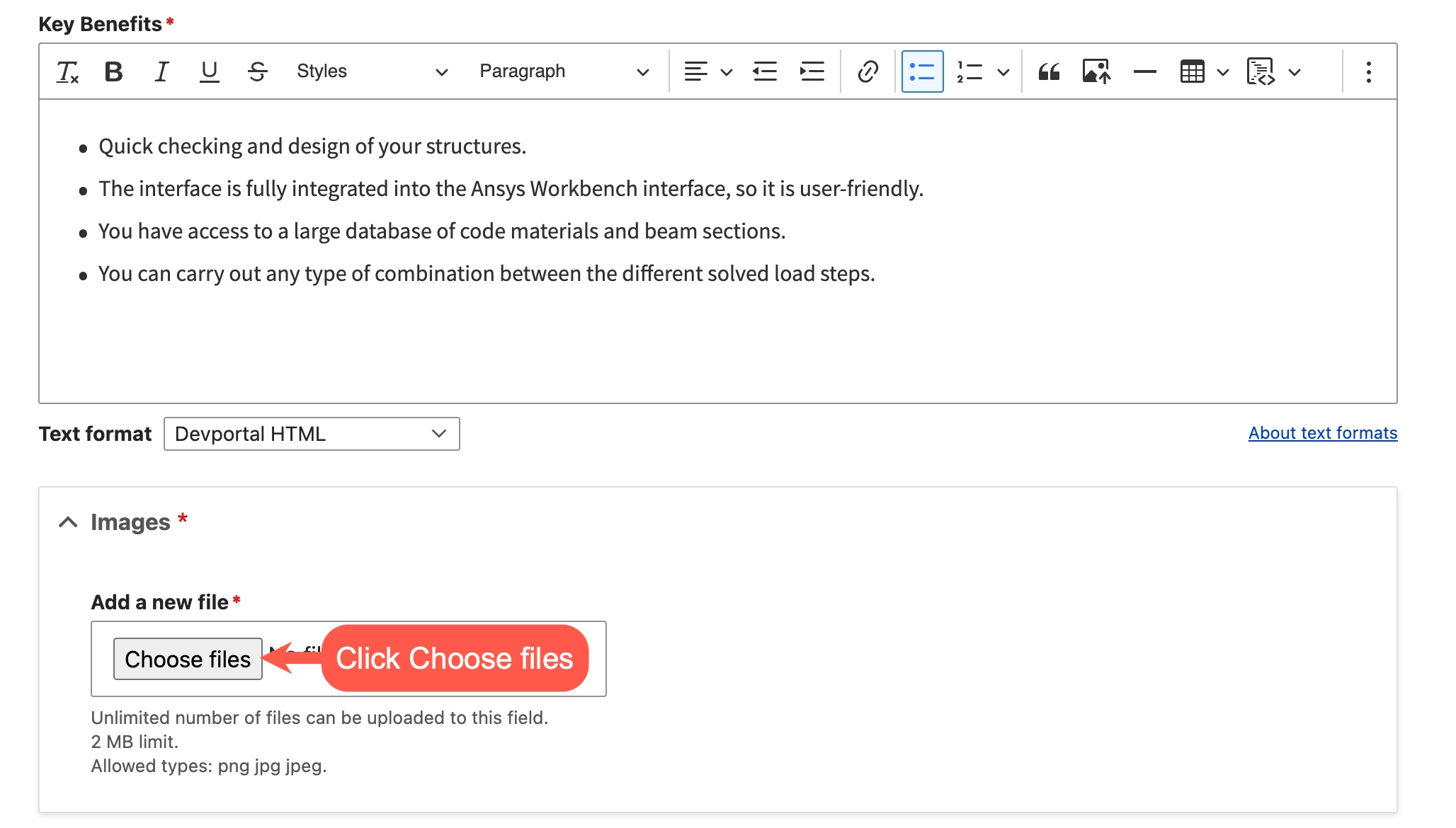 A screenshot of the edit form of an Ansys app page with an image field and a Choose file button