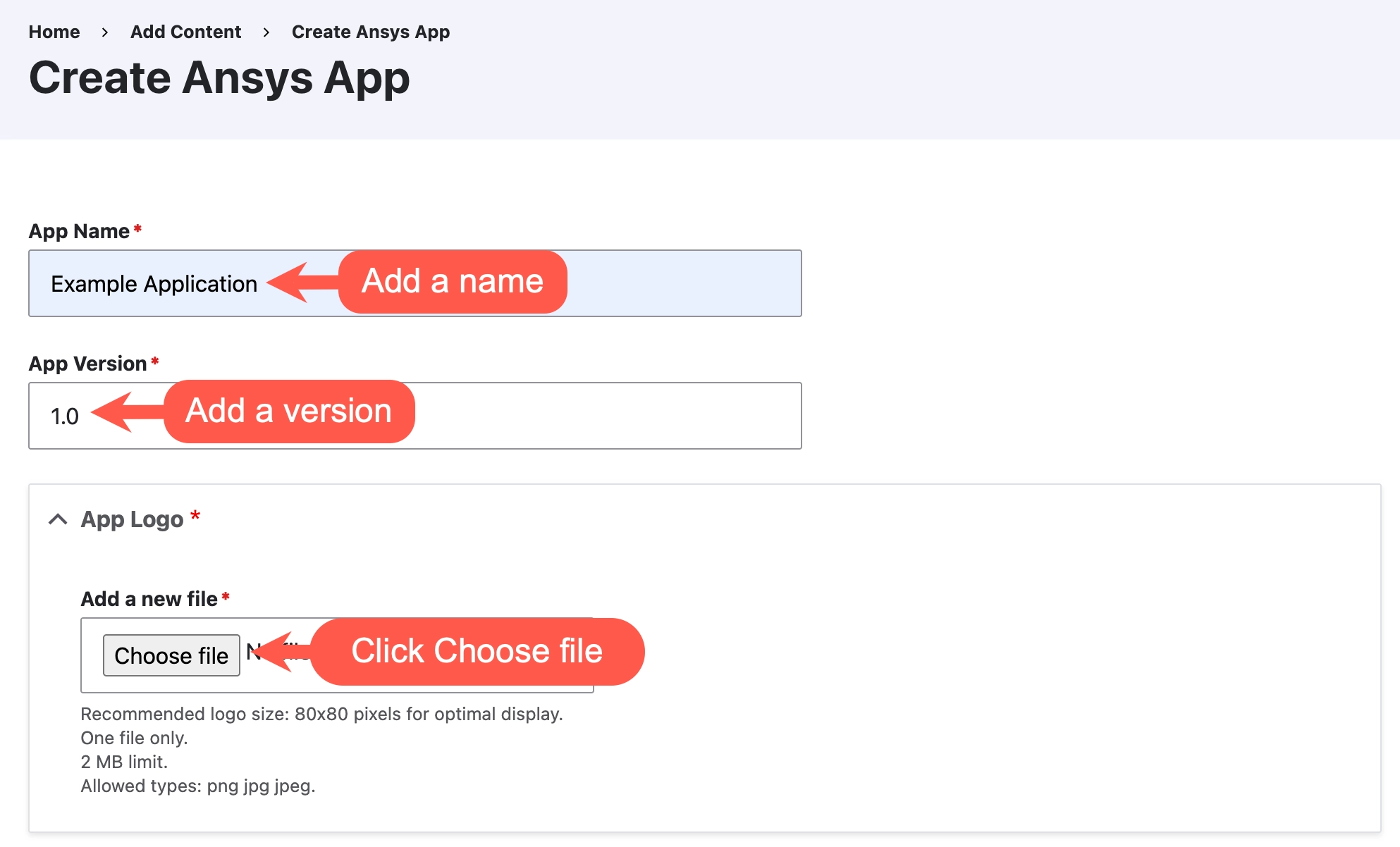 A screenshot of the edit form of an Ansys app page with the Name, version and logo fields