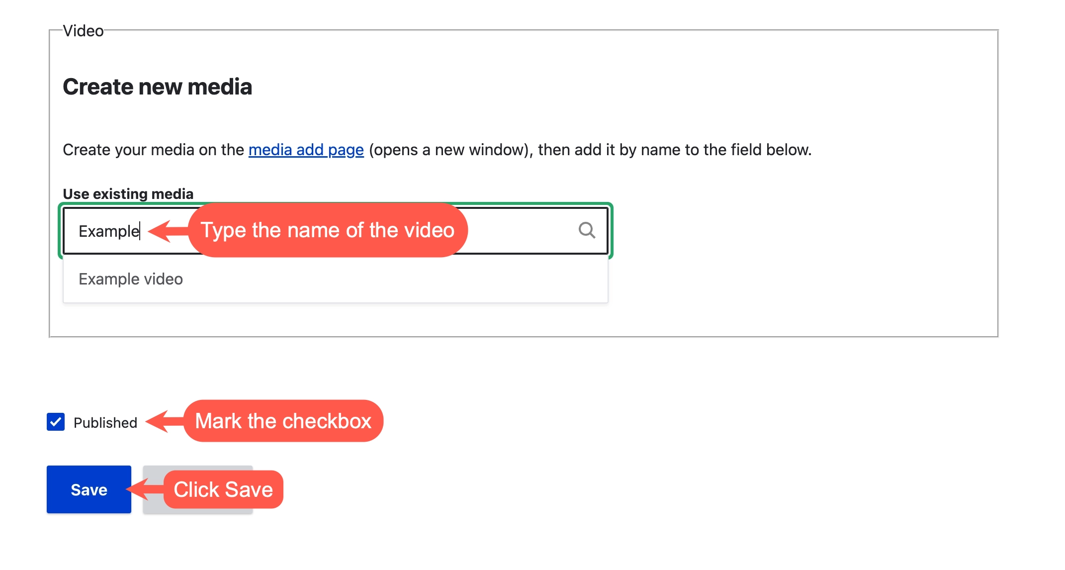 A screenshot of the edit form of an Ansys app page with the Use existing media field, the Published checkbox and the Save button