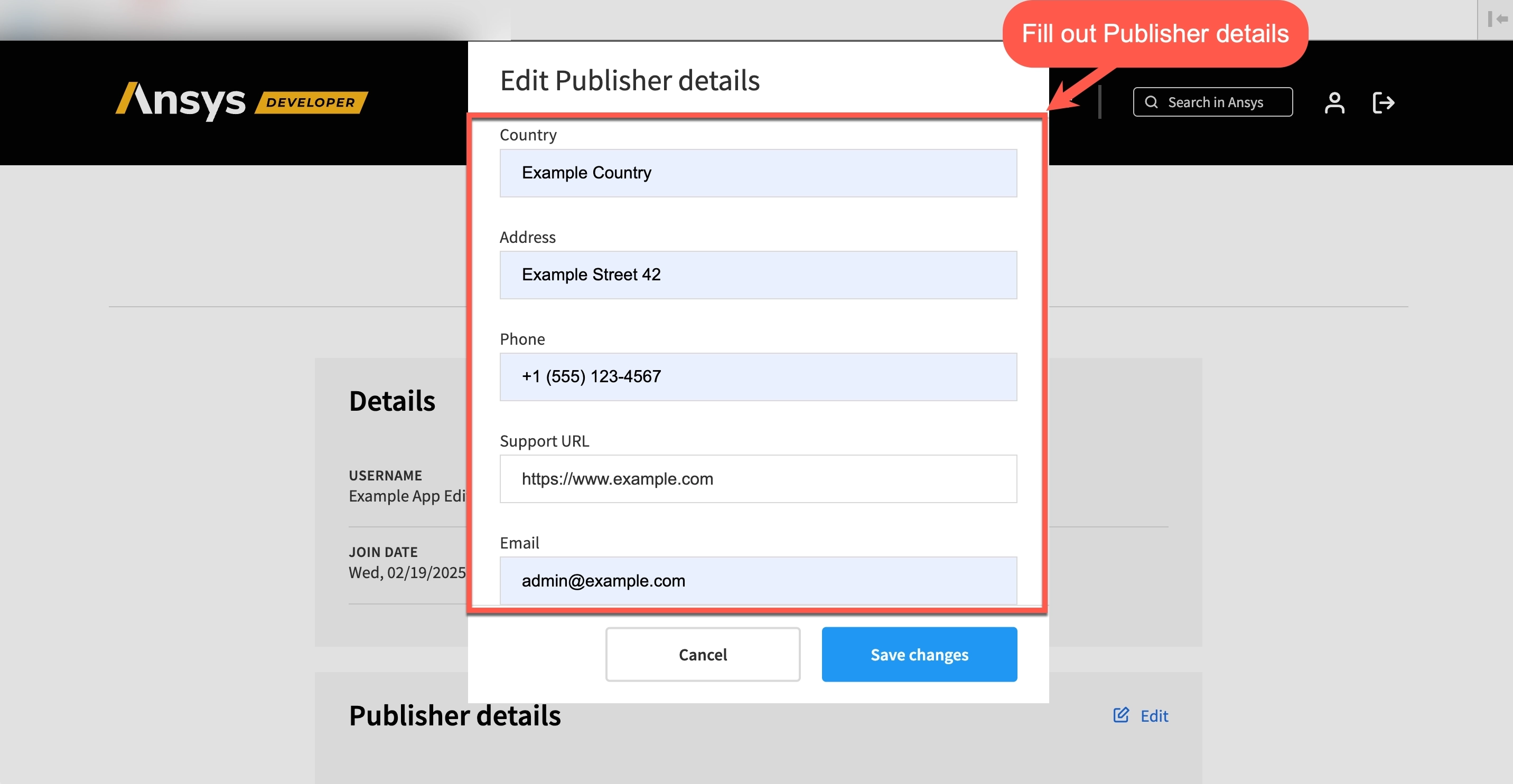 Publisher detail fields in the modal window